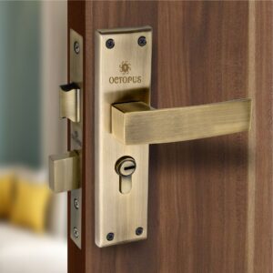 8042: MHS-SS CY 8” MOON  AB