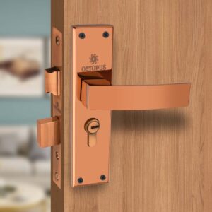 8044: MHS-SS CY 8” MOON  RG