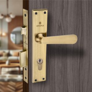10502 : MLS-SS CY 10” YAK AB Mortise Lock Set